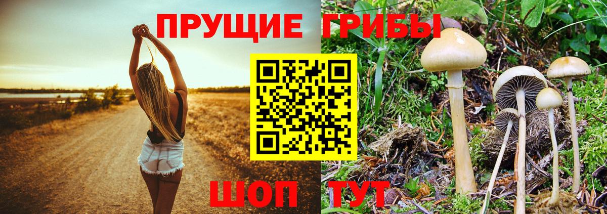 Галлюциногенные грибы мицелий Можайск